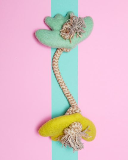 Turtle Doves Felt & Rope Dog Tug Toy