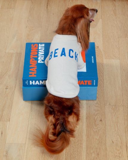 BEACH Dog Sweatshirt